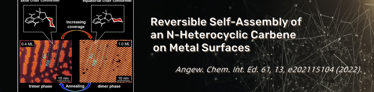 Reversible Self-Assembly of N-Heterocyclic Carbene on Metal Surfaces