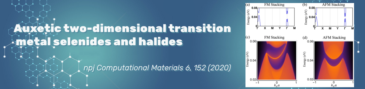 Auxetic two-dimensional transition metal selenides and halides